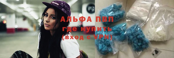 дживик Баксан