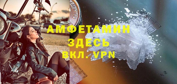 твердый Арсеньев