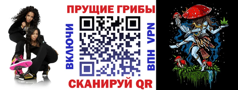 Псилоцибиновые грибы мухоморы  продажа наркотиков  Сокол 