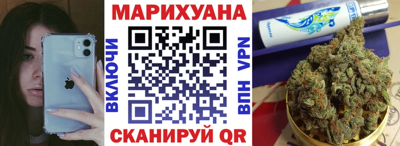 Каннабис OG Kush Сокол